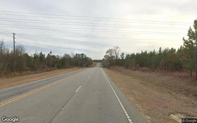 Decorative background for 75.01 Acres in Soperton - Treutlen County, GA image 6