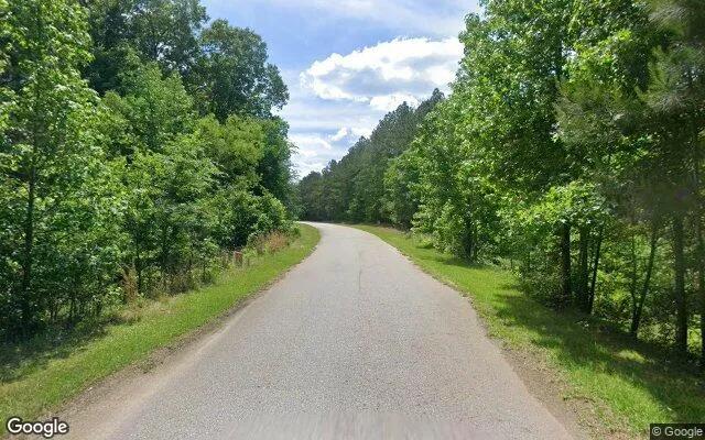 Decorative background for 3.51 Acres in Tignall - Lincoln County, GA image 5