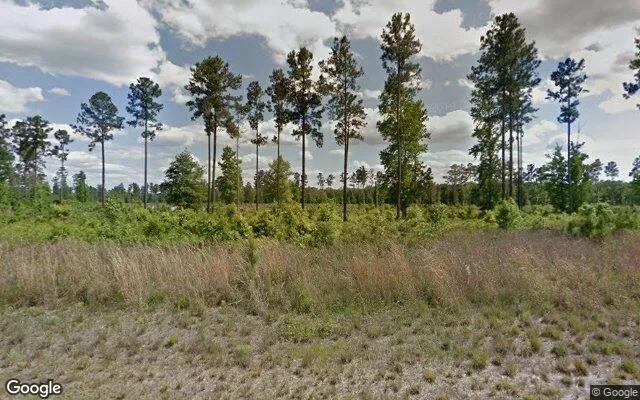 0.55 Acres in Brunswick - Glynn County, GA - Image 4