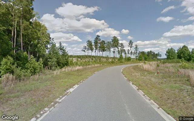Decorative background for 0.55 Acres in Brunswick - Glynn County, GA image 5