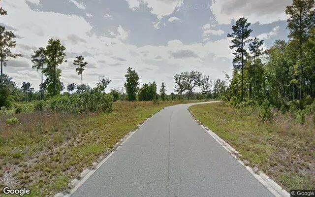Decorative background for 0.55 Acres in Brunswick - Glynn County, GA image 6