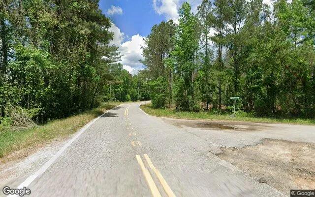 Decorative background for 0.38 Acres in Rayle - Wilkes County, GA image 6