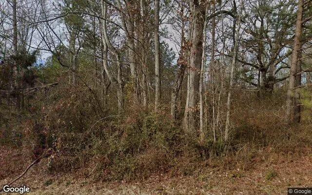 0.54 Acres in Dallas - Paulding County, GA - Image 4