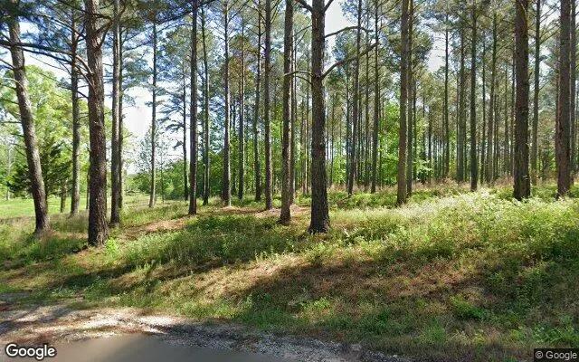 Decorative background for 14.88 Acres in Statham - Oconee County, GA image 5