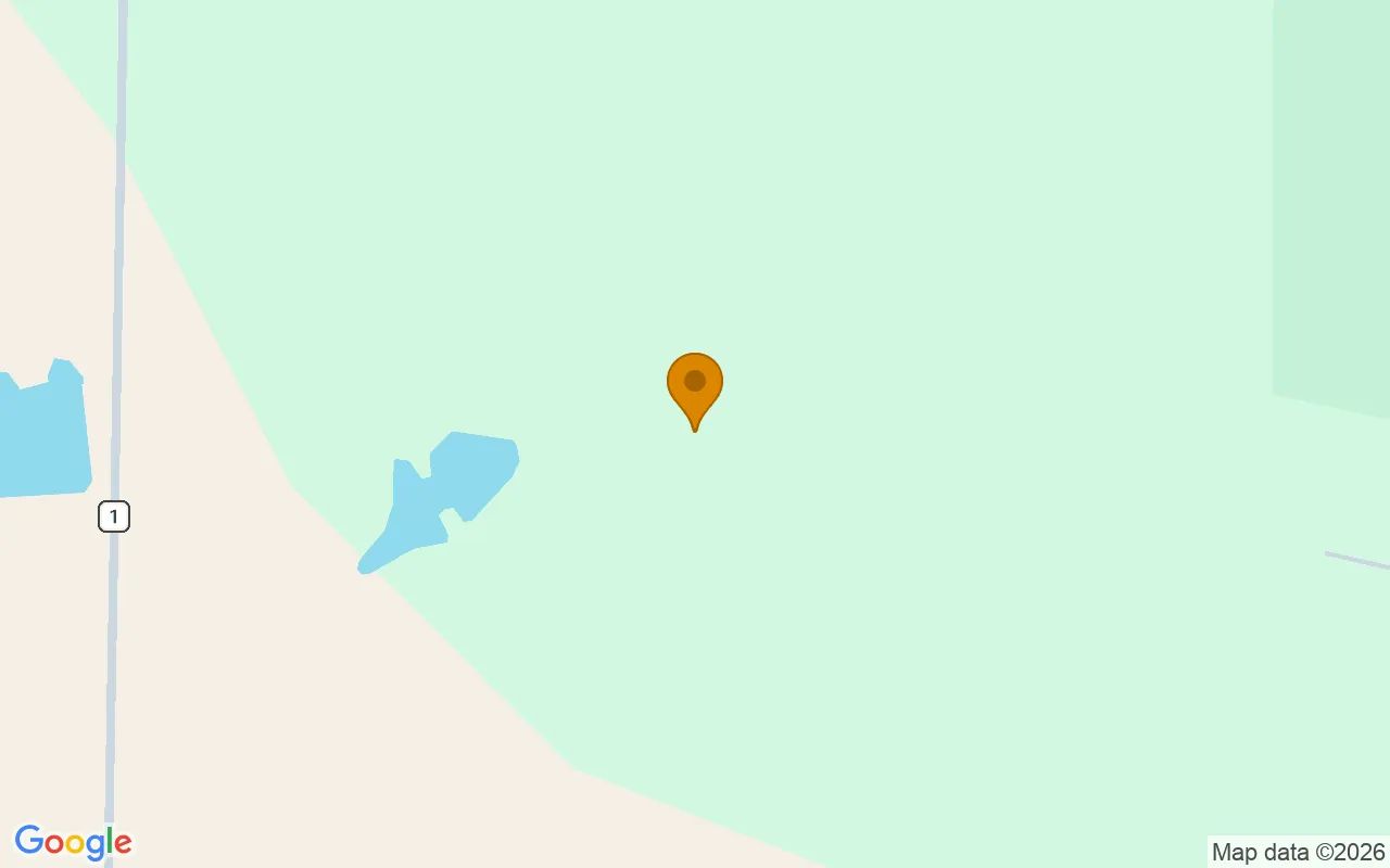 232.72 Acres in Dawson - Terrell County, GA in Terrell County, Georgia