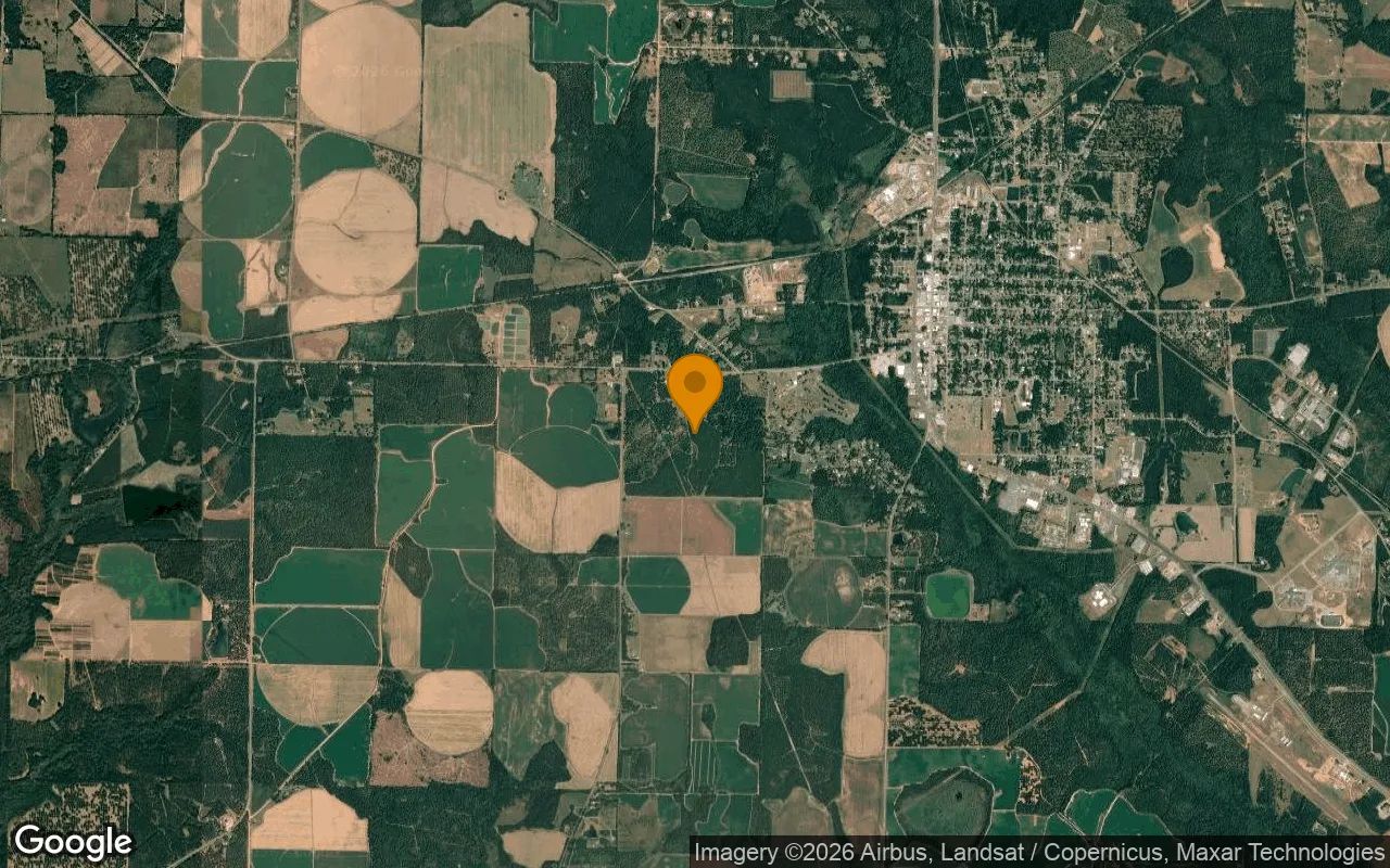 232.72 Acres in Dawson - Terrell County, GA in Terrell County, Georgia