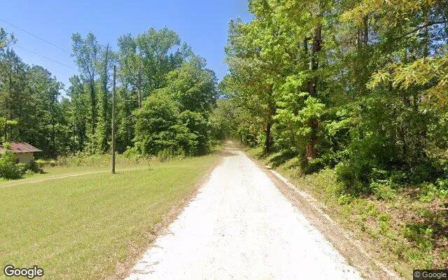 Decorative background for 74.8 Acres in Gordon - Wilkinson County, GA image 5