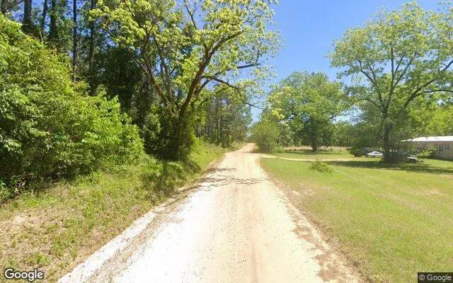 Decorative background for 74.8 Acres in Gordon - Wilkinson County, GA image 6