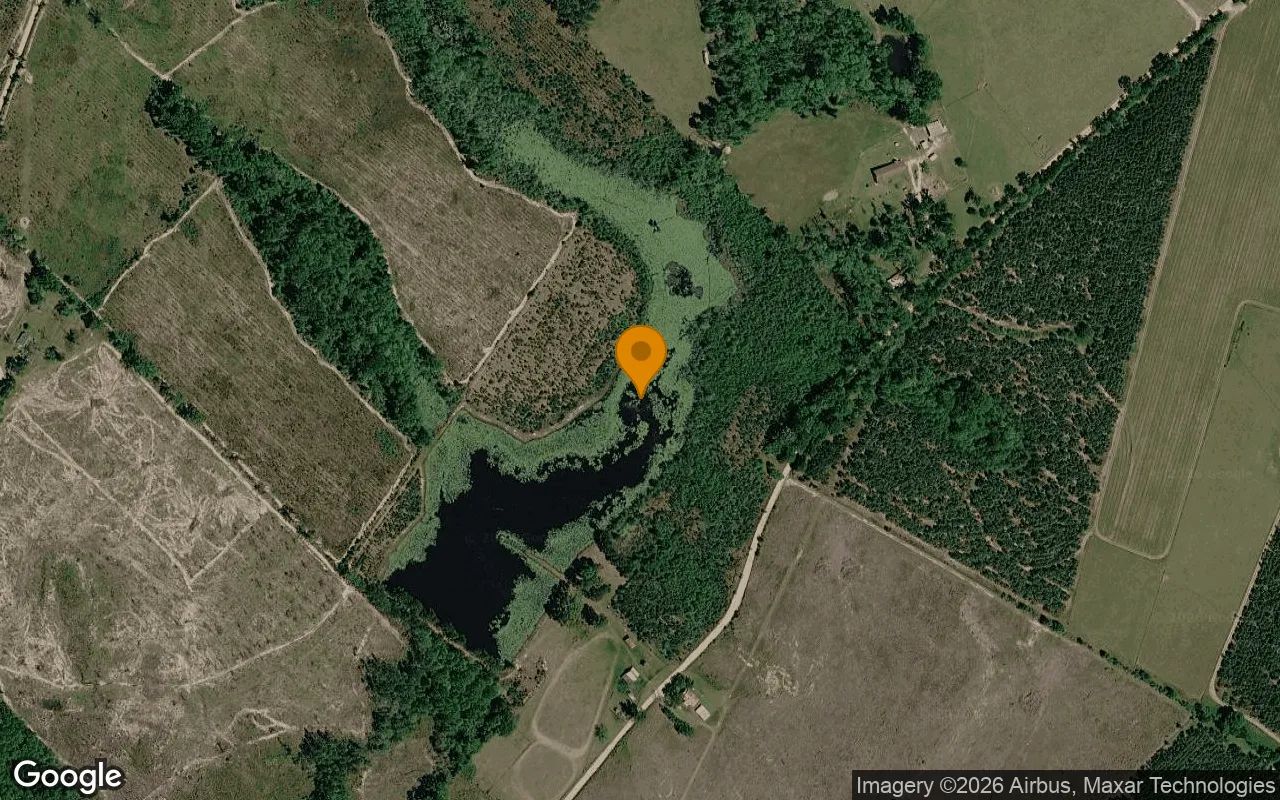 35.13 Acres in Rhine - Telfair County, GA in Telfair County, Georgia
