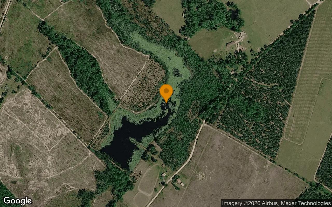 35.13 Acres in Rhine - Telfair County, GA - Main image