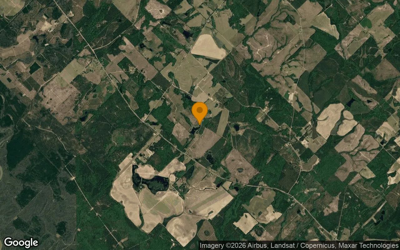 35.13 Acres in Rhine - Telfair County, GA in Telfair County, Georgia