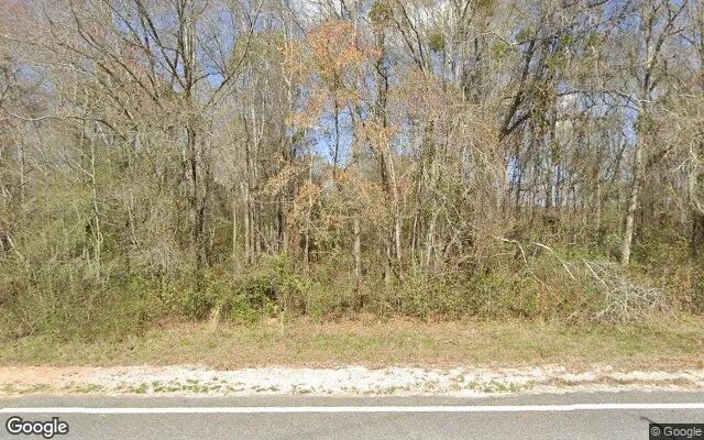 35.13 Acres in Rhine - Telfair County, GA in Telfair County, Georgia