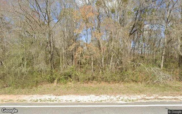 35.13 Acres in Rhine - Telfair County, GA - Image 4