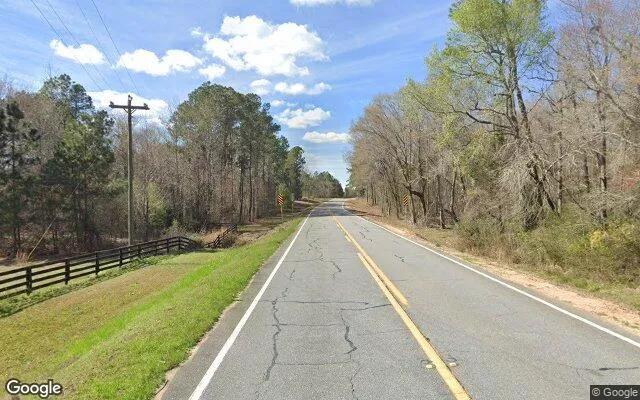 Decorative background for 35.13 Acres in Rhine - Telfair County, GA image 5