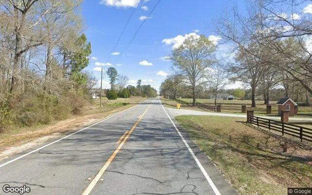 Decorative background for 35.13 Acres in Rhine - Telfair County, GA image 6