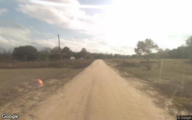 Decorative background for 1.5 Acres in Newton - Baker County, GA image 6
