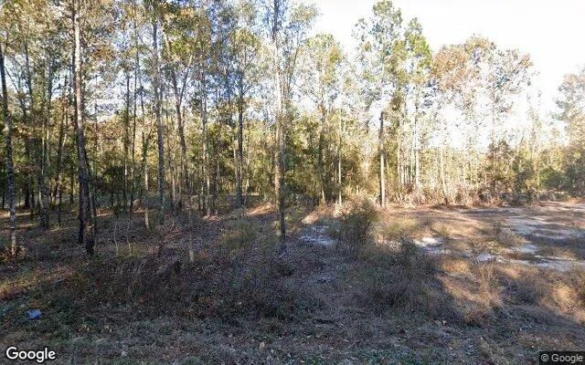 1.5 Acres in Rincon - Effingham County, GA in Effingham County, Georgia