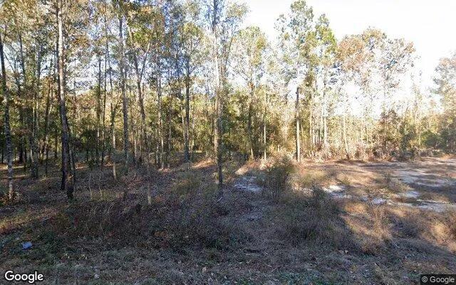 1.5 Acres in Rincon - Effingham County, GA - Image 4