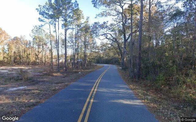 Decorative background for 1.5 Acres in Rincon - Effingham County, GA image 6