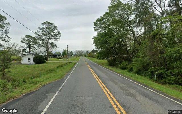 Decorative background for 0.21 Acres in Hartsfield - Colquitt County, GA image 6