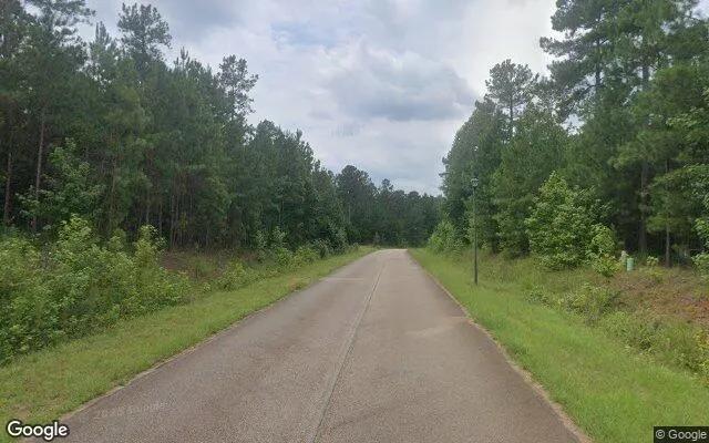 Decorative background for 1.5 Acres in Milledgeville - Baldwin County, GA image 5