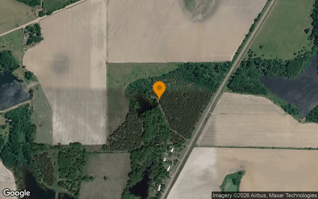 35 Acres in Ocilla - Irwin County, GA in Irwin County, Georgia