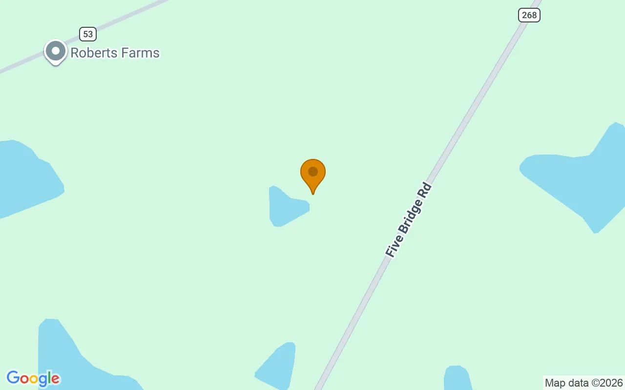 35 Acres in Ocilla - Irwin County, GA in Irwin County, Georgia
