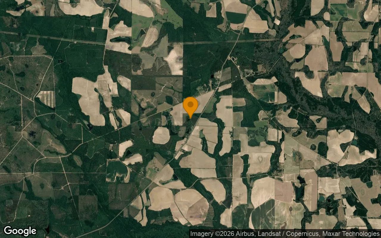35 Acres in Ocilla - Irwin County, GA in Irwin County, Georgia