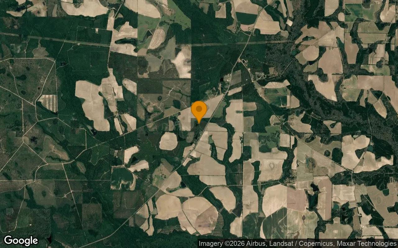 35 Acres in Ocilla - Irwin County, GA - Image 3