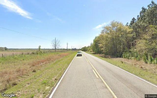 Decorative background for 35 Acres in Ocilla - Irwin County, GA image 5