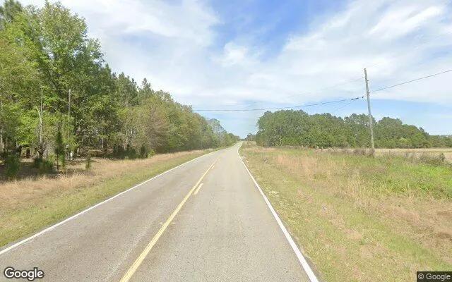 Decorative background for 35 Acres in Ocilla - Irwin County, GA image 6