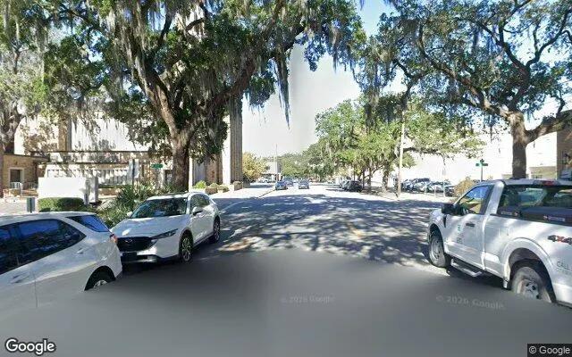 Decorative background for 0.55 Acres in Savannah - Chatham County, GA image 6