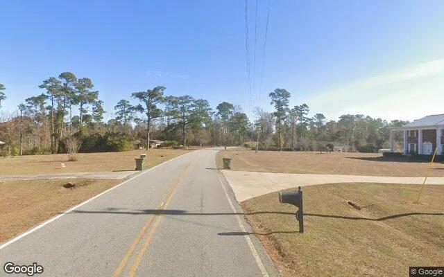 Decorative background for 0.55 Acres in Bainbridge - Decatur County, GA image 6