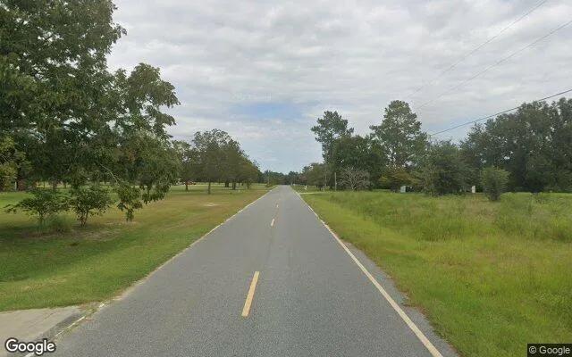 Decorative background for 1.5 Acres in Odum - Wayne County, GA image 5