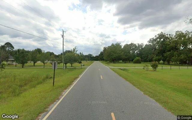 Decorative background for 1.5 Acres in Odum - Wayne County, GA image 6