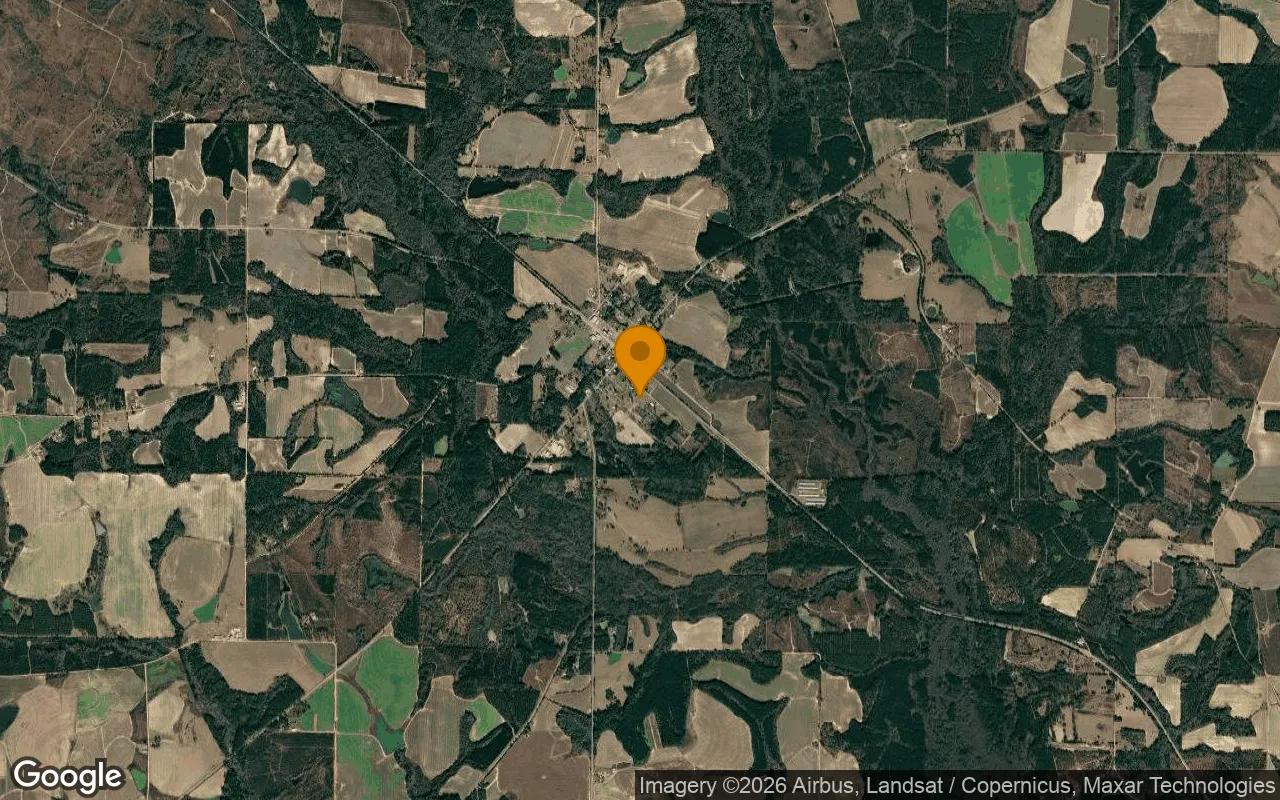 0.68 Acres in Rebecca - Turner County, GA - Image 3