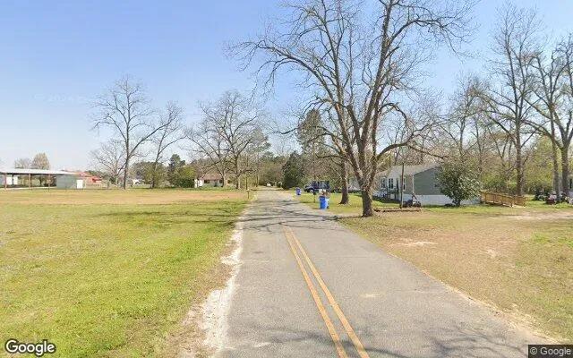 Decorative background for 0.68 Acres in Rebecca - Turner County, GA image 6