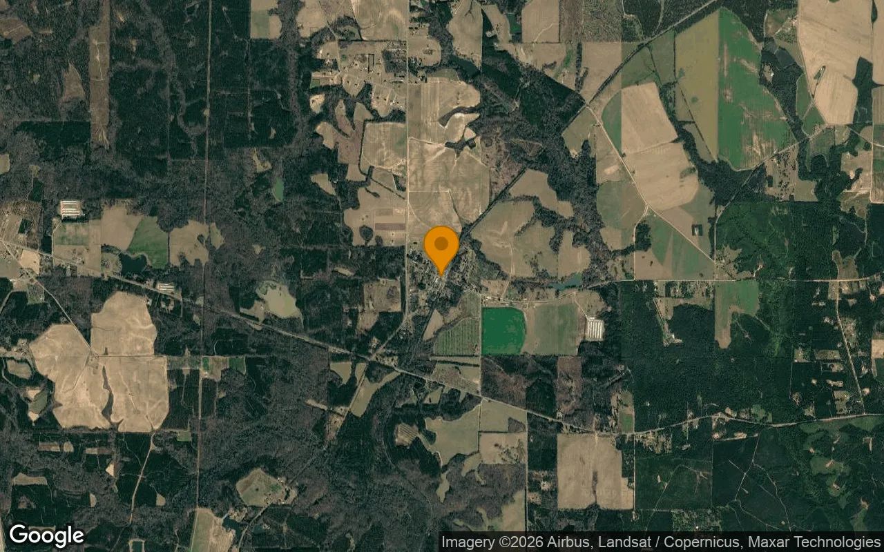 0.13 Acres in Elko - Houston County, GA in Houston County, Georgia