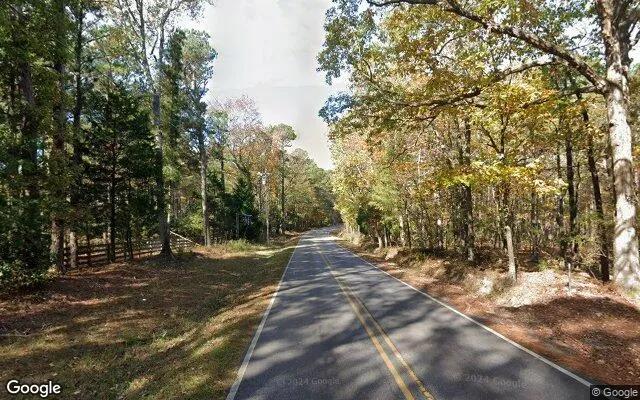 Decorative background for 0.55 Acres in Warm Springs - Harris County, GA image 6