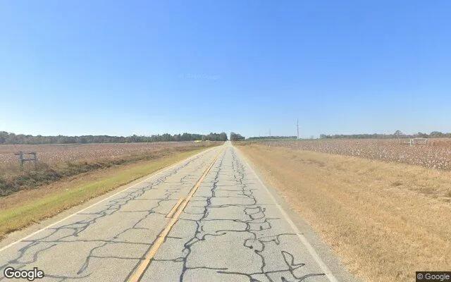 Decorative background for 7.45 Acres in Millen - Jenkins County, GA image 5
