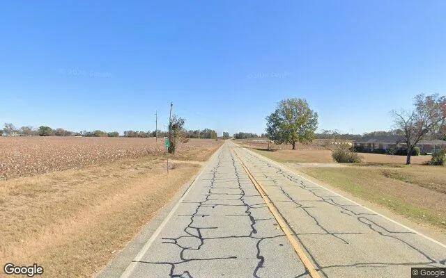 Decorative background for 7.45 Acres in Millen - Jenkins County, GA image 6