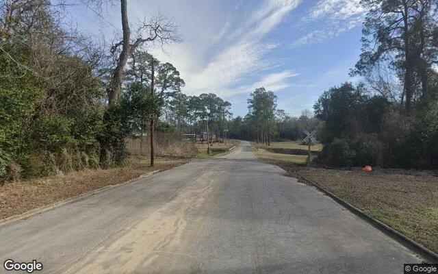 Decorative background for 1.28 Acres in Sylvester - Worth County, GA image 6
