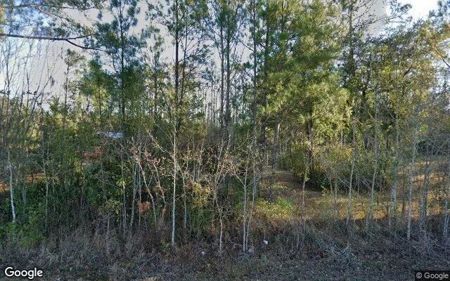 3.25 Acres in Lake Park - Echols County, GA in Echols County, Georgia