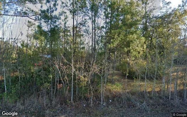 3.25 Acres in Lake Park - Echols County, GA - Image 4