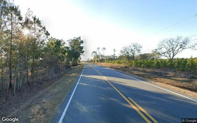 Decorative background for 3.25 Acres in Lake Park - Echols County, GA image 6