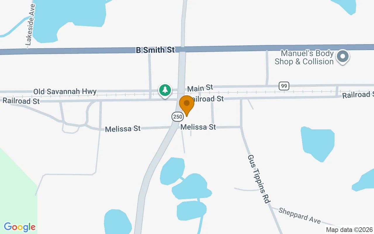 0.34 Acres in Daisy - Evans County, GA in Evans County, Georgia