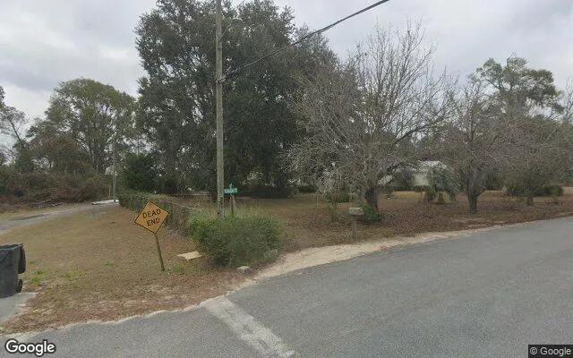 Decorative background for 3.51 Acres in Lakeland - Lanier County, GA image 6