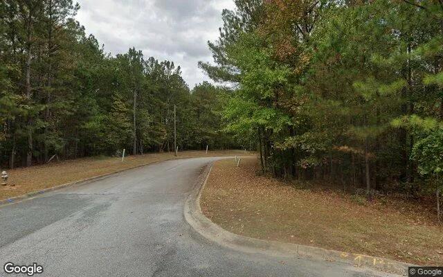 Decorative background for 0.22 Acres in Manchester - Meriwether County, GA image 6