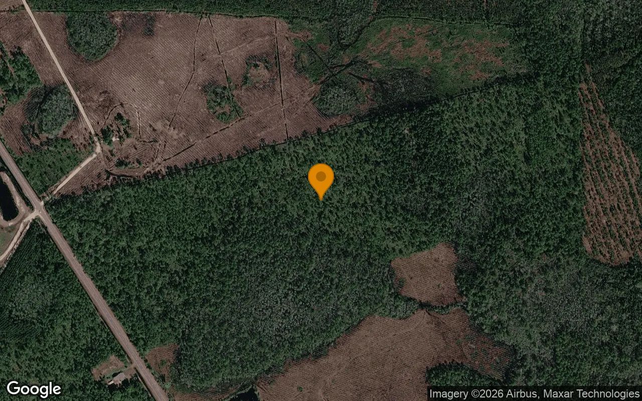 75.06 Acres in Fargo - Clinch County, GA in Clinch County, Georgia