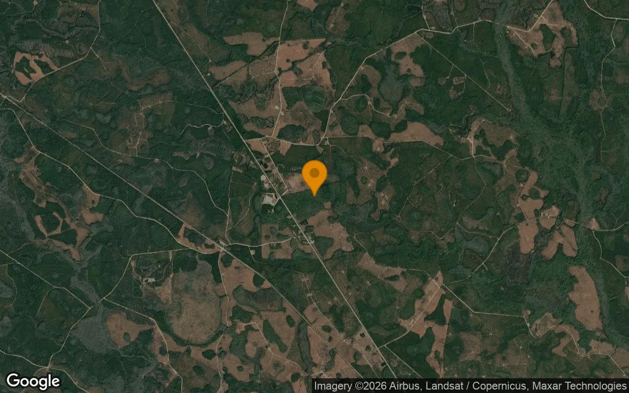 75.06 Acres in Fargo - Clinch County, GA in Clinch County, Georgia